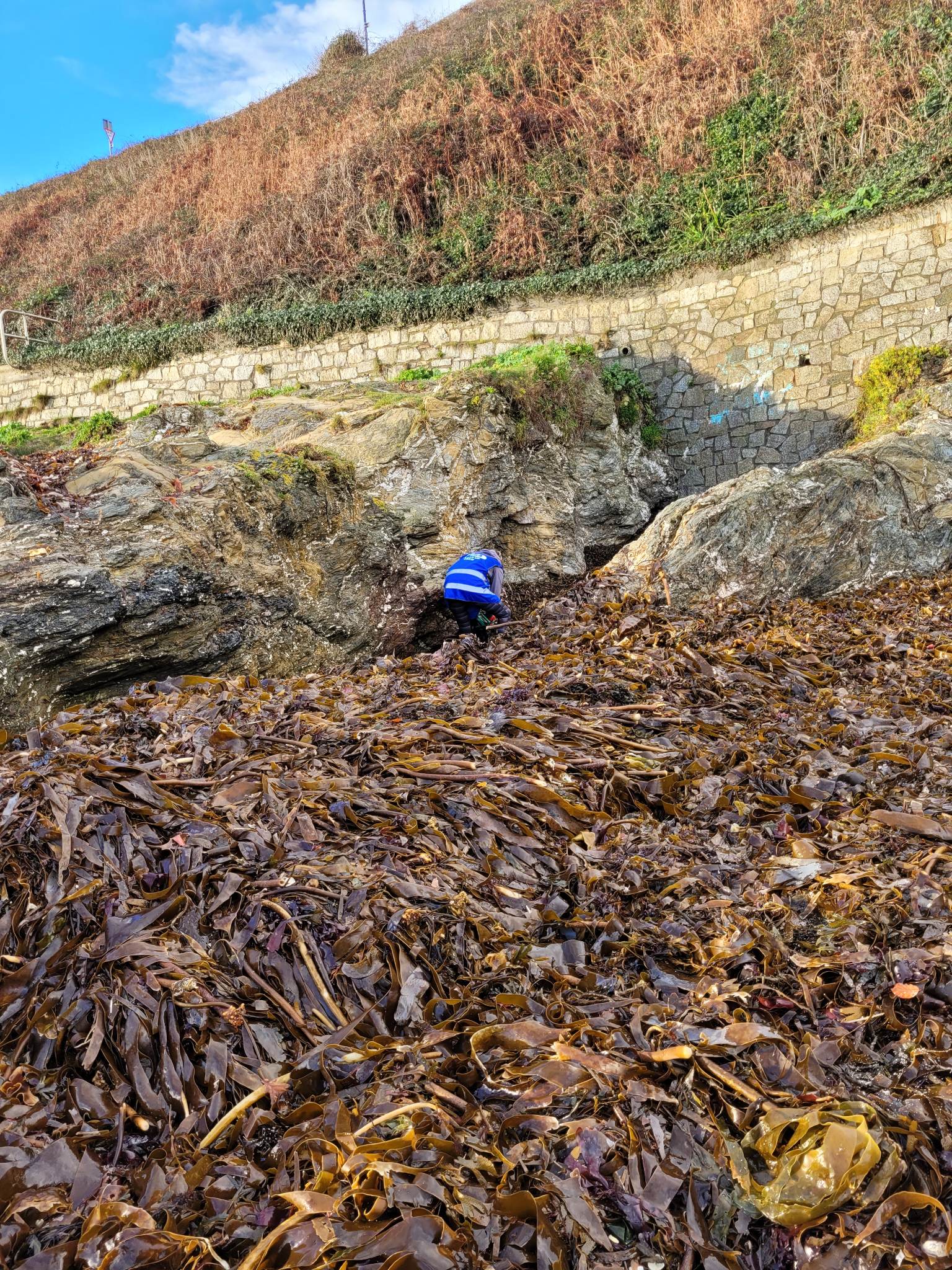Falmouth University Beach Clean – life's a beach uk