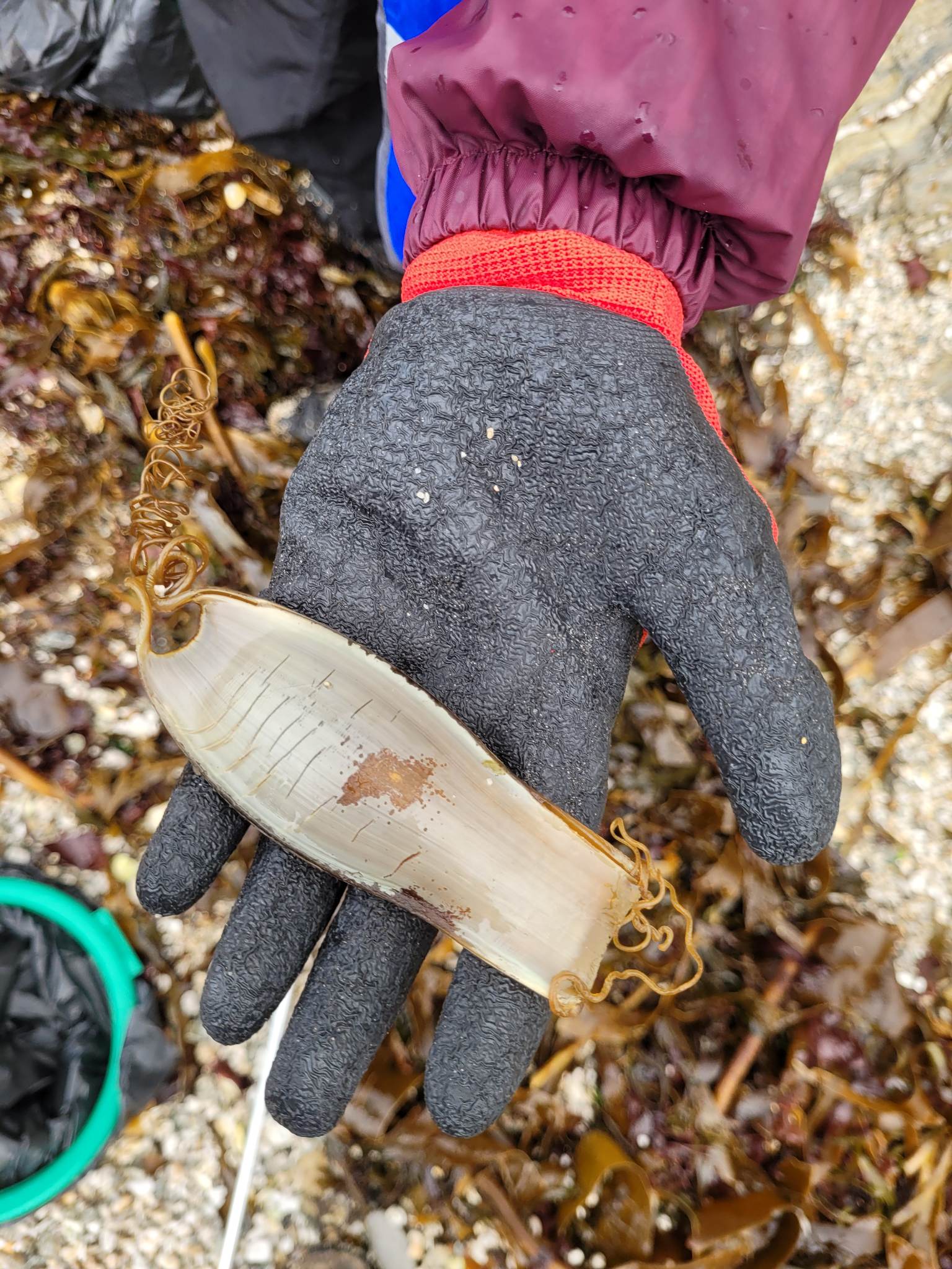 Falmouth University Beach Clean – life's a beach uk