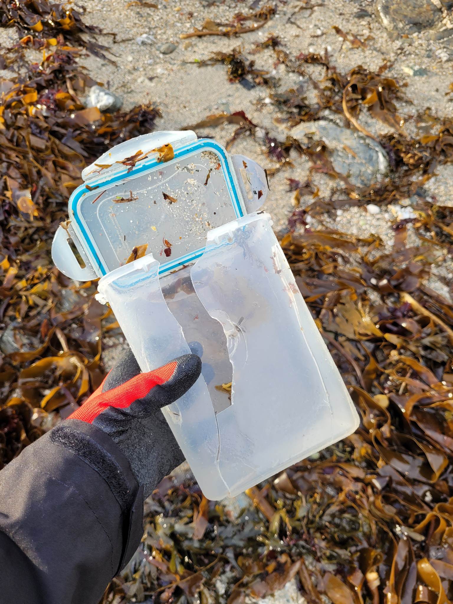 Falmouth University Beach Clean – life's a beach uk